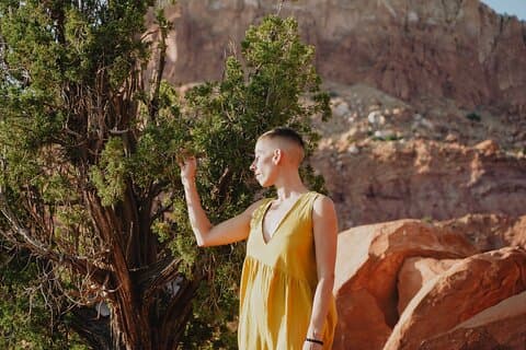 Crear esencias florales energéticas y reconectar con la naturaleza