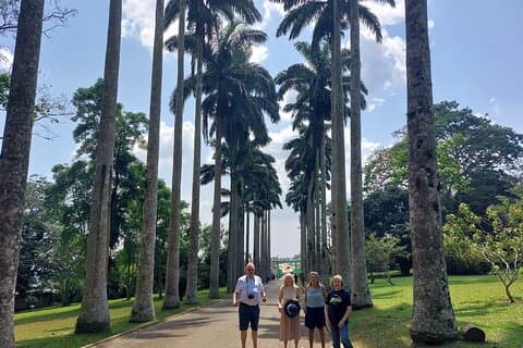 The Aburi Botanical Gardens and Scenic Tour