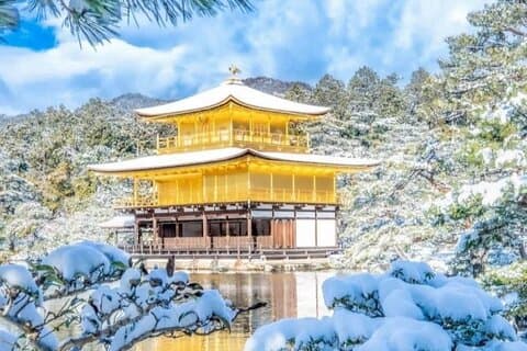 Visite d'une journée à Kyoto et Uji : Pavillon d'or, rue Kiyomizu et Matcha