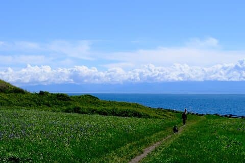 Excursão a pé Victoria Seaside Splendors Trail
