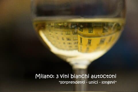 Autenticidad del sabor: 3 vinos blancos italianos autóctonos