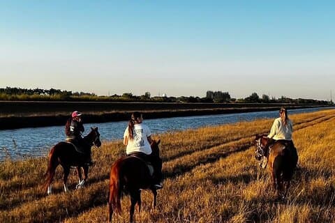 Horseback ridning i Miami