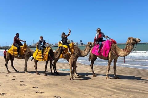 Privat Casablanca Day Tour med Camel Ride i Mohammedia