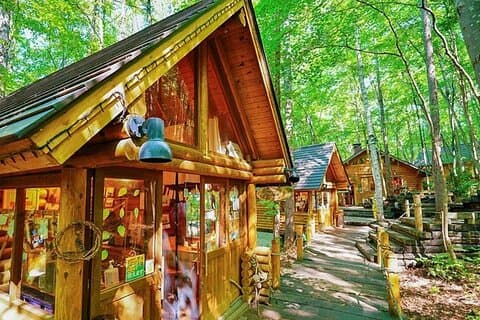 Excursión de un día a Hokkaido: Zoológico, Estanque azul, Árboles emblemáticos y terraza
