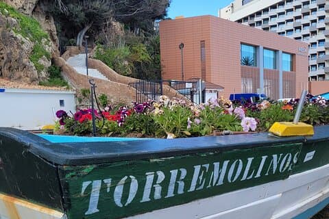 Caza del carroñero autoguiado en Torremolinos