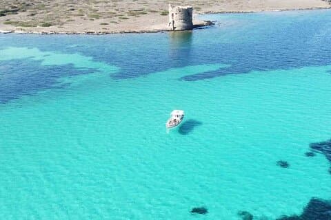 Asinara: Tour in barca nel parco nazionale con pranzo a bordo
