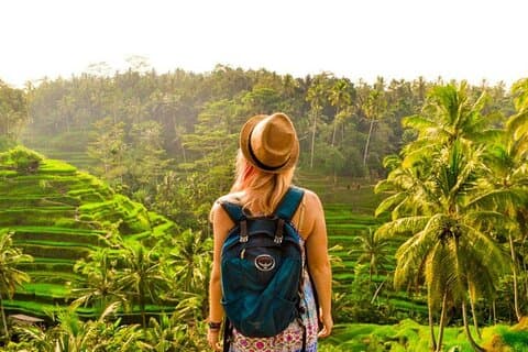Ubud Tour: Foresta delle scimmie, terrazza di riso, tempio e cascata