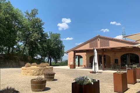 Visite de la cave et déjeuner toscan avec dégustation de vin à San Gimignano