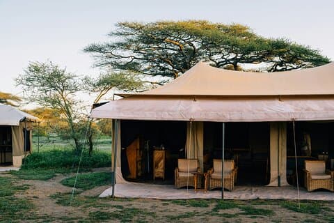 Safari 7 jours 6 nuits en lodges 4 étoiles