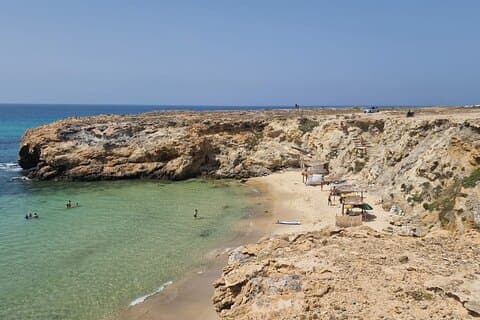 Beach Paradise
