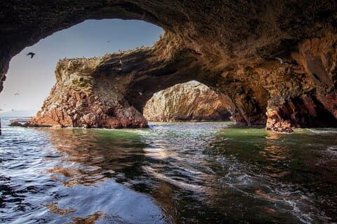 Ganztägige Paracas Islas Ballestas , Nationalreservat