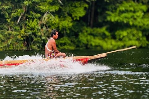 Explore a magia Embera na selva panamenha