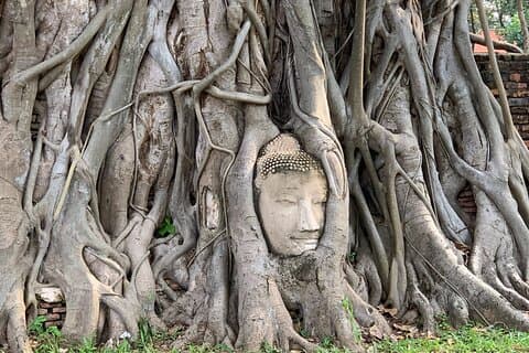 Ayutthaya Adventure Eten, tempels en geschiedenis