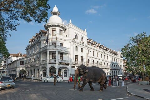 Privat historisk dagstur från Colombo och Negombo