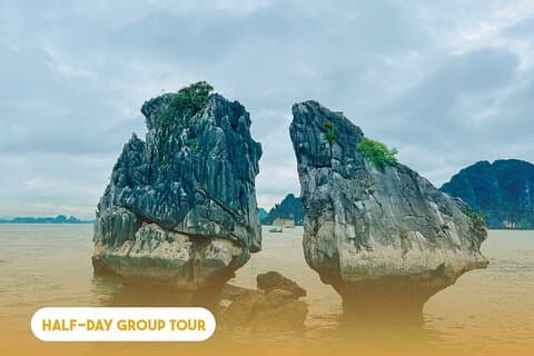 Crucero de ensueño de medio día por la bahía de Ha Long