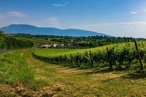 Fra Verona til Valpolicella: Romanse, landsbyer og fine viner
