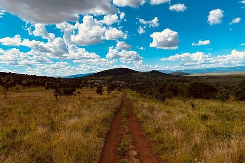 Experiência de Safari no Parque Nacional Akagera