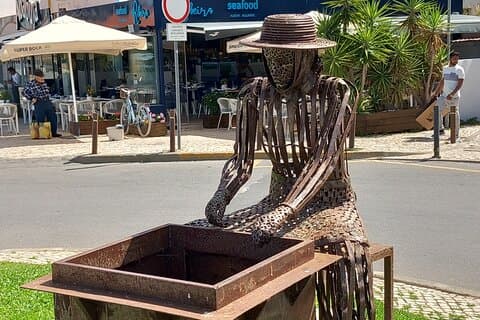 Búsqueda de carroñeros autoguiados en Alvor
