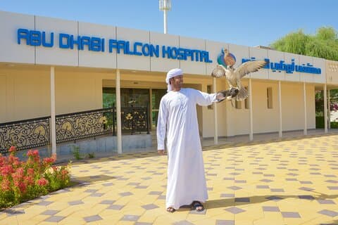 Sheikh Zayed-moskeen og Falcon Hospital Tour i Abu Dhabi