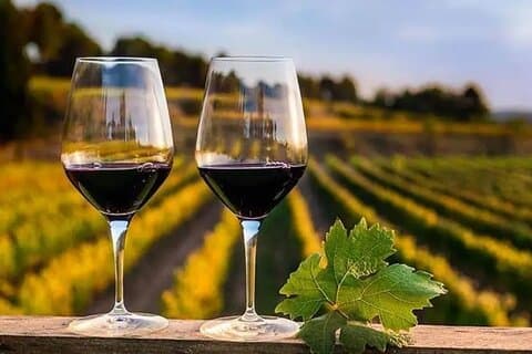 Douro Wine's Tasting Tour