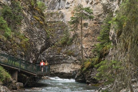 Banff Area & Johnston Canyon 1-Day Tour from Calgary or Banff
