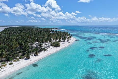 Saona Island Premium Discovery Tour vanuit Punta Cana of Bayahíbe