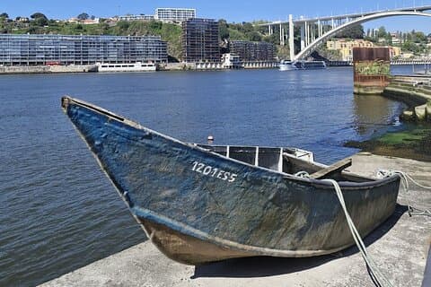 Privat Porto City Tour med fisk og skaldyr Lunch og kystudsigt