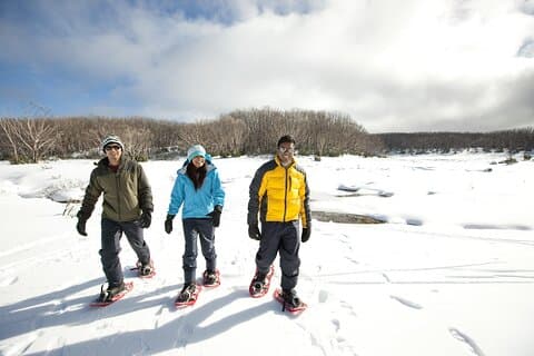 Lake Mountain Snow Play & Waterfalls Tour saindo de Melbourne
