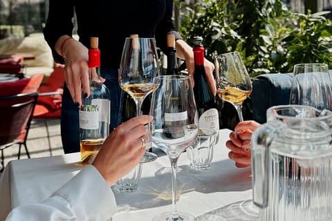 Vinsmaking Føl forskjellen på Qvevri eller klassisk vin