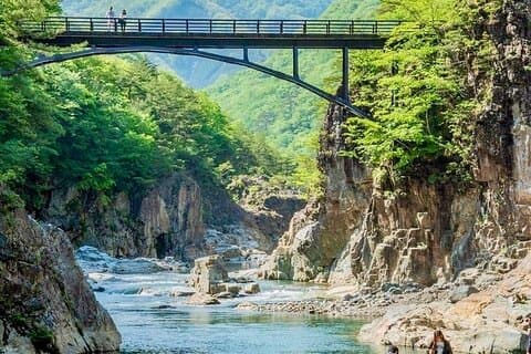 Från Tokyo: Nikko Sightseeing Anpassad privat rundtur