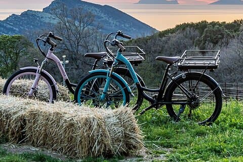 E-bike Tour in Cilento with Picnic and Wine