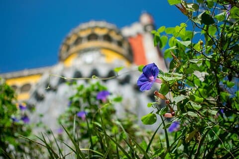 Sintra Pena Palace and Park Skip The Line Tickets