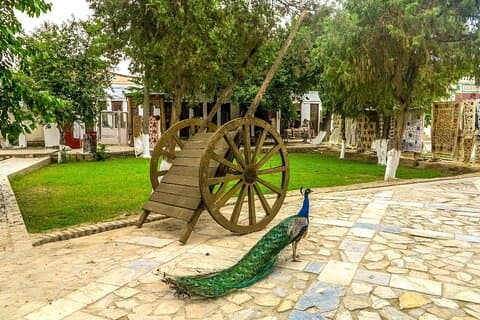 Bukhara Countryside Tour with Traditional Lunch & Transport