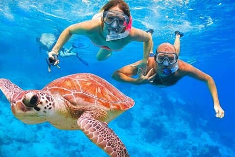 Hoteller i nærheden af St.Maarten Nature, Hike & Snorkeling