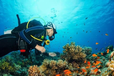 Tour de día completo por la isla de Phu Quoc