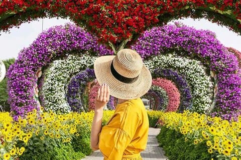 Skip-the-line Ticket for Dubai Miracle Garden with Hotel Transfer
