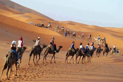 Privé paard- en kameelritavontuur in Luxor City
