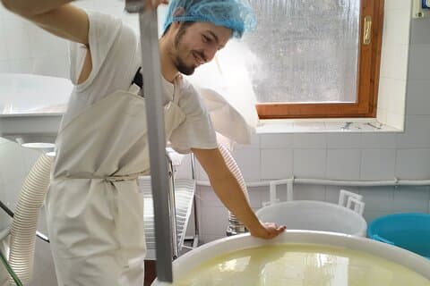 Create your cheese in the Dolomites