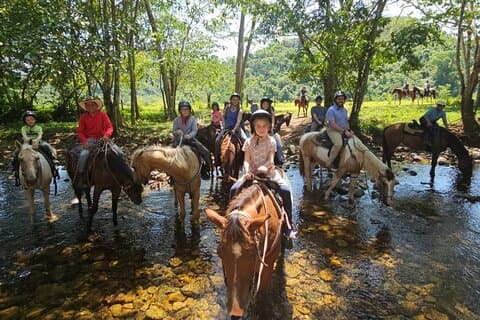 Cruise Excursion - Jungle Horseback Riding in Belize