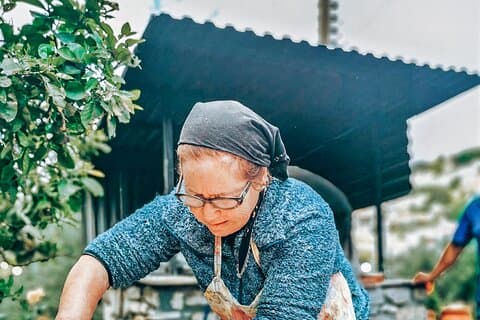 Paphos Tradiciones y Bodegas
