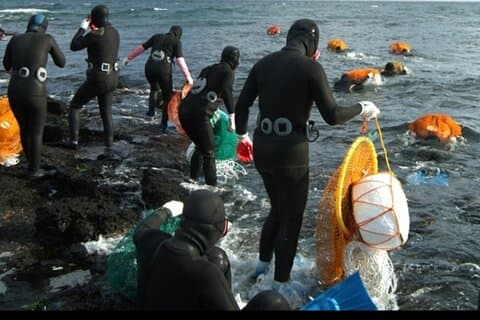 Jeju kryssning UNESCO dagstur