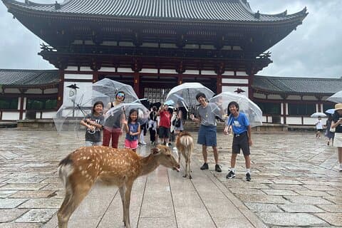 Privé verhaal in Nara over herten, Boeddha en jou