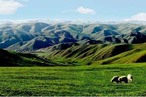 Huhhot Binnen-Mongolië 3-daagse Xilamuren kubuqi Woestijn Natuur Tour