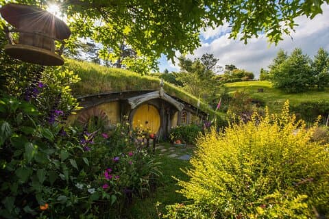 Private Hobbiton Movie Set & Waitomo Caves in a Day from Auckland