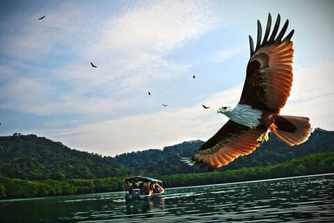 Malaisie Langkawi Island Hopping Tour Experience