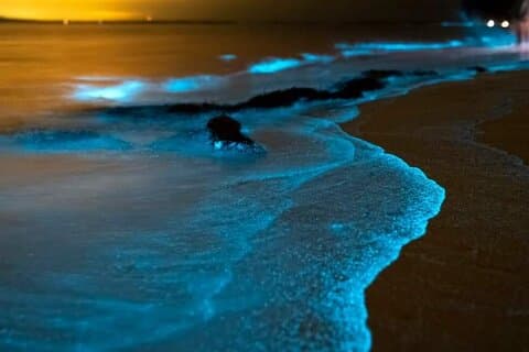 Plankton bioluminescente, canoas marítimas e pôr do sol em James Bond Island