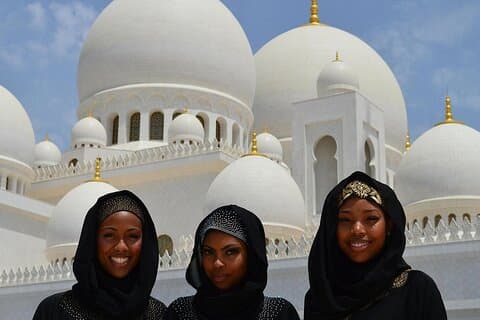 Abu Dhabi Layover City Sightseeing Tour - privat og fleksibel