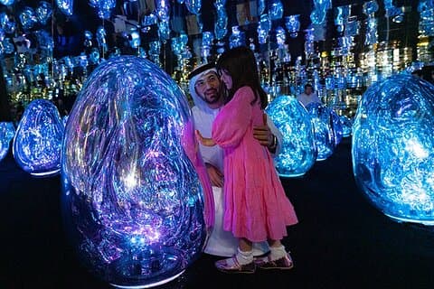 teamLab Fenomenbiljett