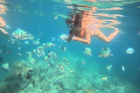 Nha Trang halvdags snorkling-eventyr på Marine Park med grill