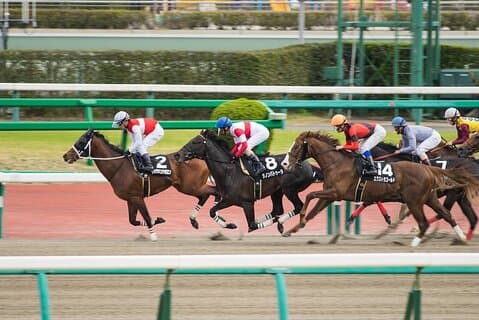 Tour de corrida de cavalos com fãs locais no Nakayama Racecourse